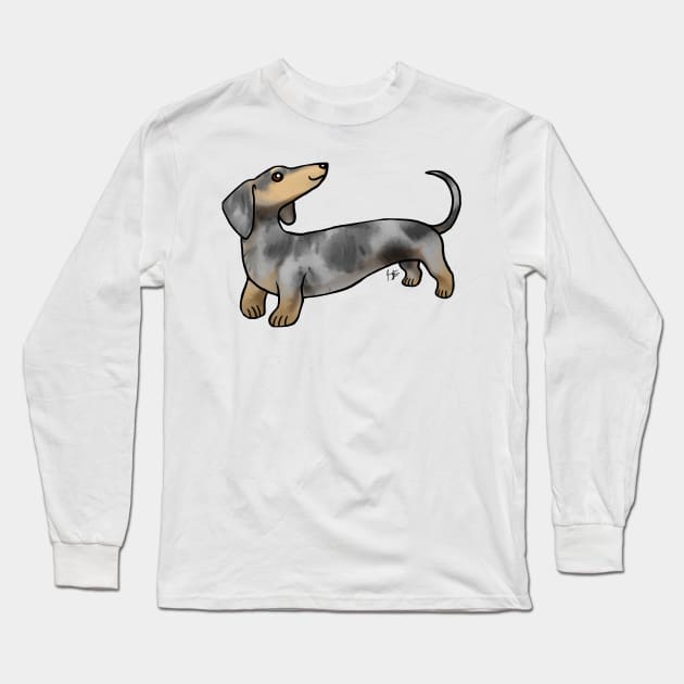 Spotted dachshund long haired on sale